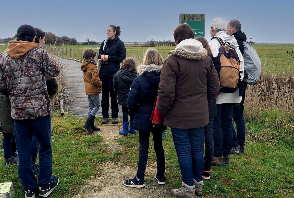 Deviens ornithologue et pars à la découverte des oiseaux présents dans la réserve.